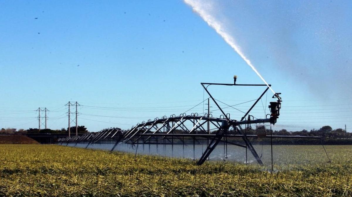 Alger Farms in Homestead is irrigated in this photo from 2015. The landowners and the City of Homestead are being sued by the Department of Justice over their plans to build residential properties on the farm, which would violate safety precautions by the nearby Homestead Air Reserve Base. 