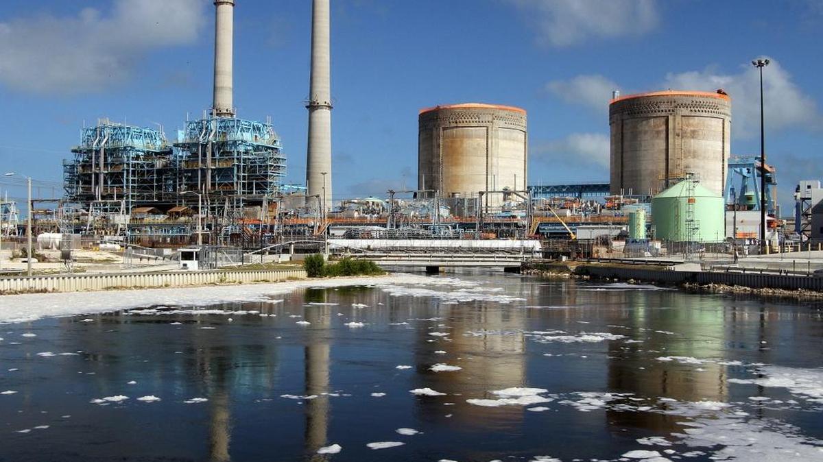 Miami-Dade County officials are reviewing operations at Florida Power and Light’s Turkey Point cooling canals after discovering water from the closed-loop canals in Biscayne Bay.