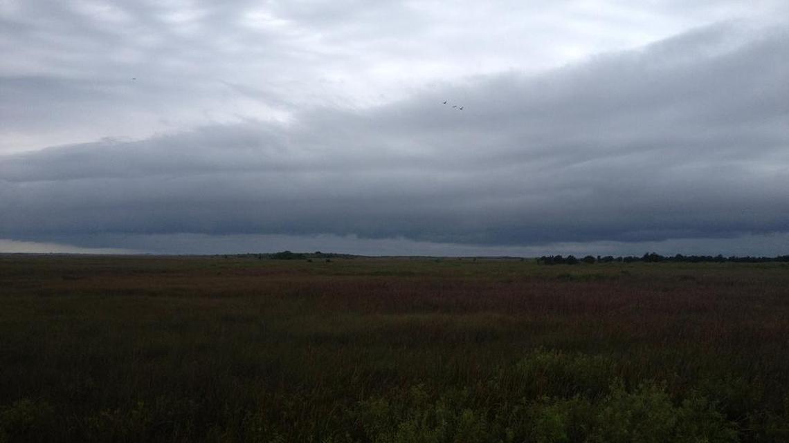 The view south from a one-mile span of bridging on Tamiami Trail, which was completed in 2013, shows thunderheads rolling across the marshes. On Friday, the federal government held a formal groundbreaking for a second span.