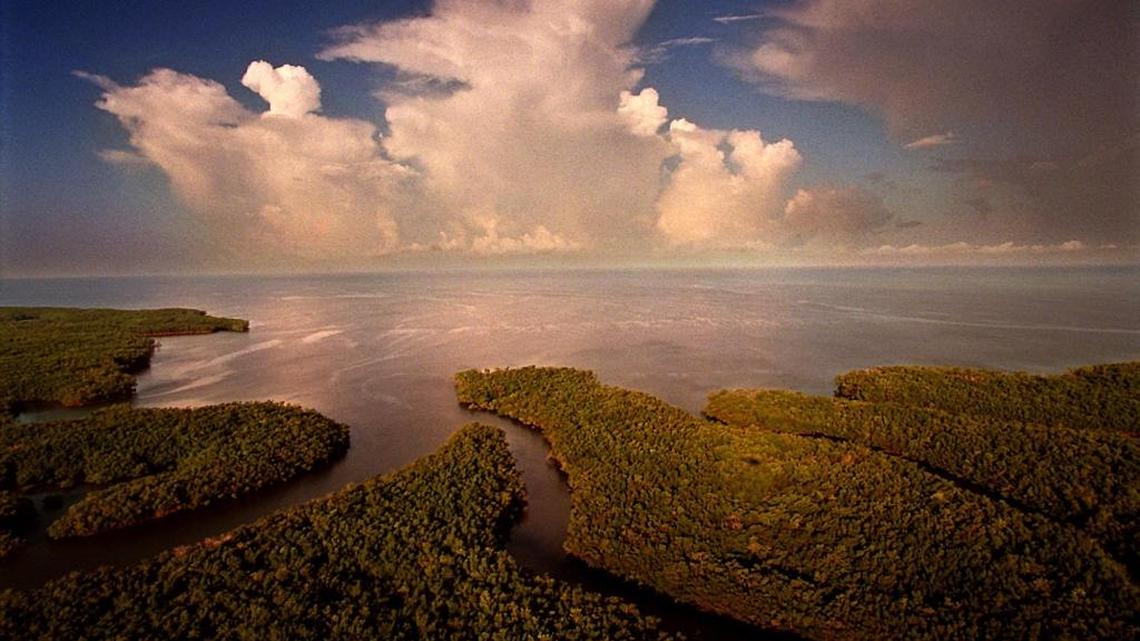 Shark River empties into Ponce de Leon Bay at the southernmost end of the Everglades. In 2014, 75 percent of voters endorsed an amendment to spend a third of taxes on real estate deals to save such wild land. But a spending plan being considered this week by lawmakers allocates only a fraction for purchasing new land for the second year in a row.