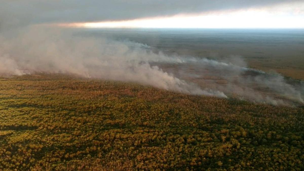 A wildfire that ignited Sunday in the Big Cypress National Preserve spread to 11,000 acres Wednesday.