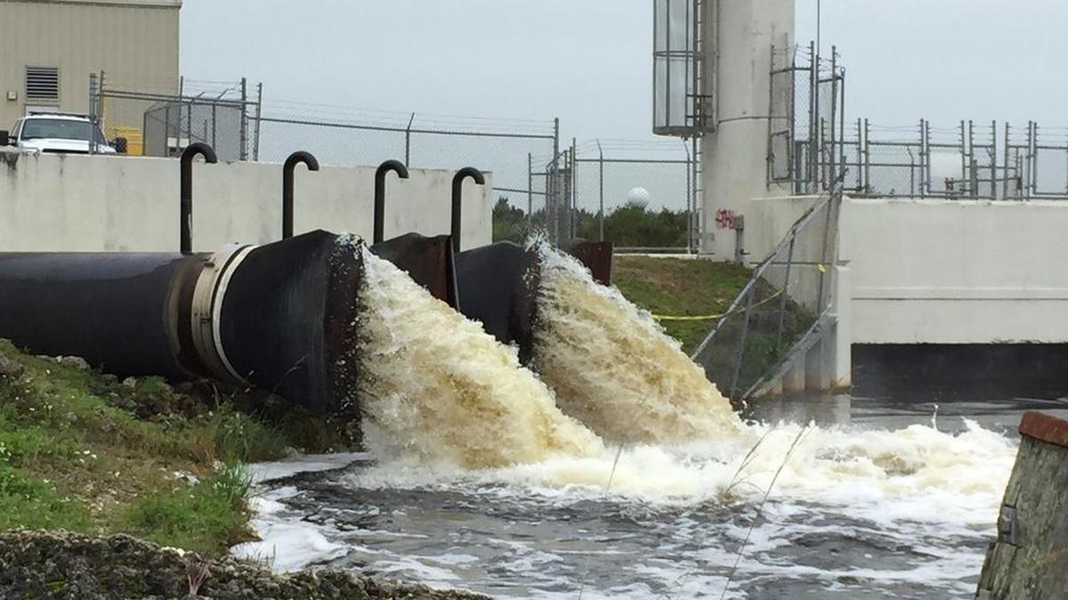 In January water gushed from pumps on the L-29 canal that runs along the Tamiami Trail. Gov. Rick Scott has asked the U.S. Corps of Army Engineers to increase water flowing through the canal and into Everglades National Park to avoid dumping more Lake Okeechobee water down the St. Lucie and Caloosahatchee rivers and to ease flooding in marshes north of the Trail.
