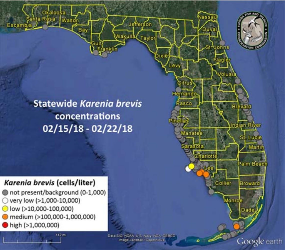 Earlier this month state wildlife officials reported a rare appearence of red tide in western Florida Bay near Sandy Key.