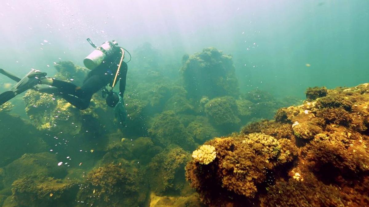 
NOAA researcher Ian Enochs swims through carbon bubbles seeping from vents on the ocean floor from an old buried volcano.
