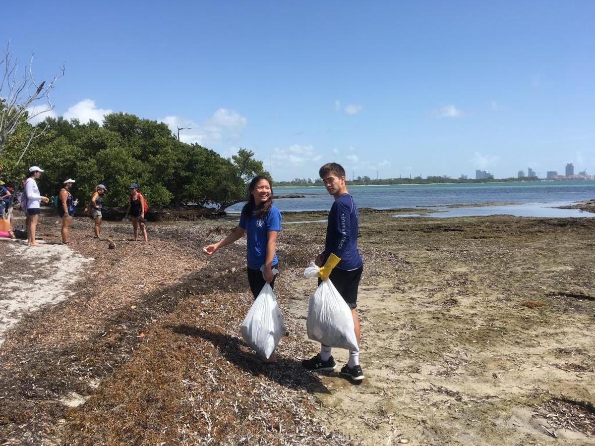 Miami Waterkeeper Junior Ambassador restoration project at Virginia Key Beach Park, where teenagers removed invasive plant species and picked up trash.