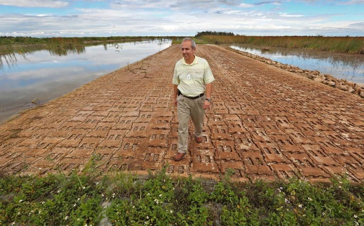 South Florida Water Management District Engineer Jorge Jaramillo walks on the water overflow weir that keeps groundwater in Everglades National Park and prevents it from flowing east out of Taylor Slough and into farm fields and neighborhoods.