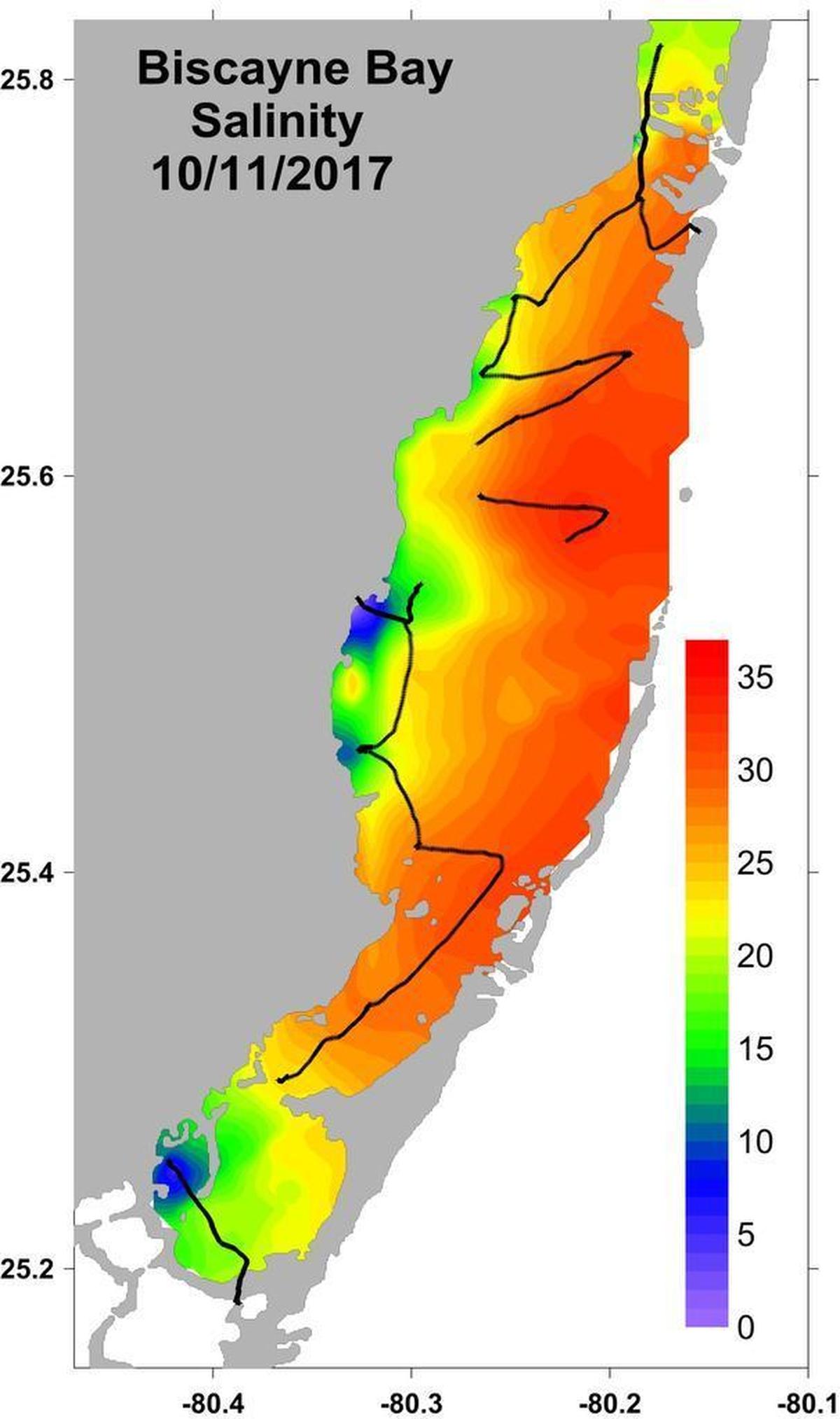 After Irma, millions of gallons of stormwater flowed into the bay, leaving some water in the bay entirely fresh and cutting salinity in other parts by half, which could damage marine life.