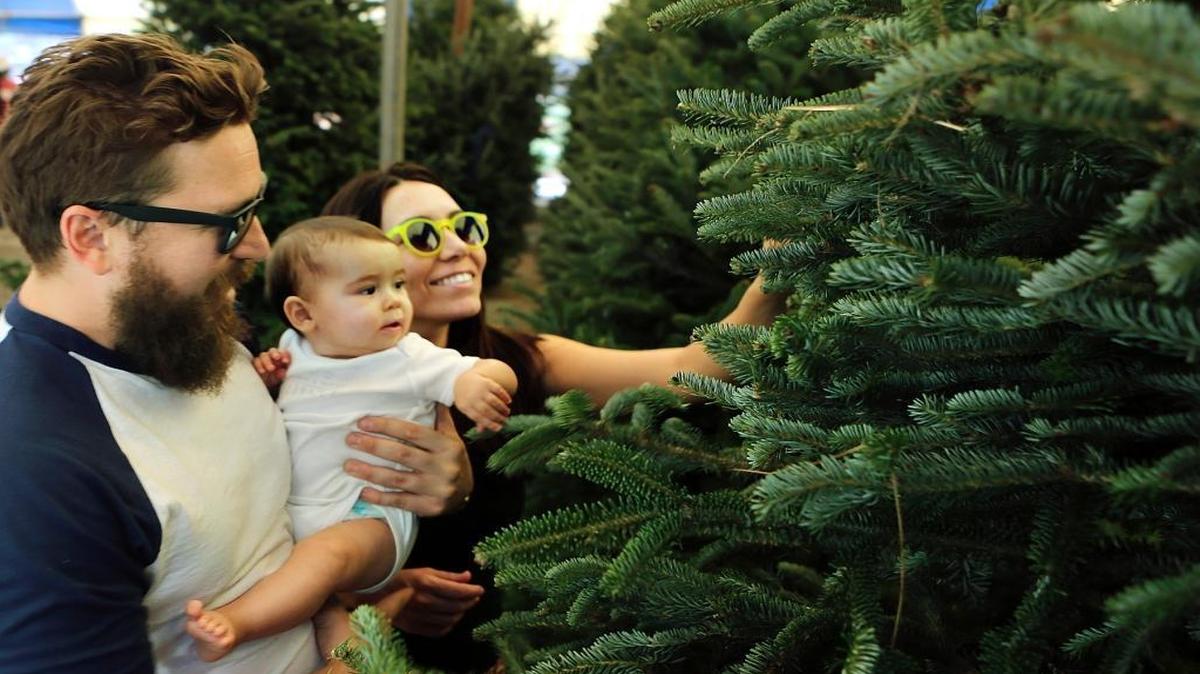 Dustin Copeland and Alexandra Huerta of Coral Gables show their eight-month-old daughter Emma Copeland the Fraser fir that will be the baby's first Christmas Tree, on Nov. 27, 2015 at the Boys & Girls Clubs of Miami-Dade's Hank Kline Club in Miami. The Boys & Girls Clubs of Miami-Dade started selling Christmas trees and wreaths more than 35 years ago; 100 percent of proceeds from the sales benefit the nonprofit organization. The group serves thousands of boys and girls in Miami-Dade County with programs year-round. The organization's Hank Kline Club is at 2805 SW 32nd Ave. The tree lot will be open seven days a week from 9 a.m.-9 p.m. until the trees sell out.