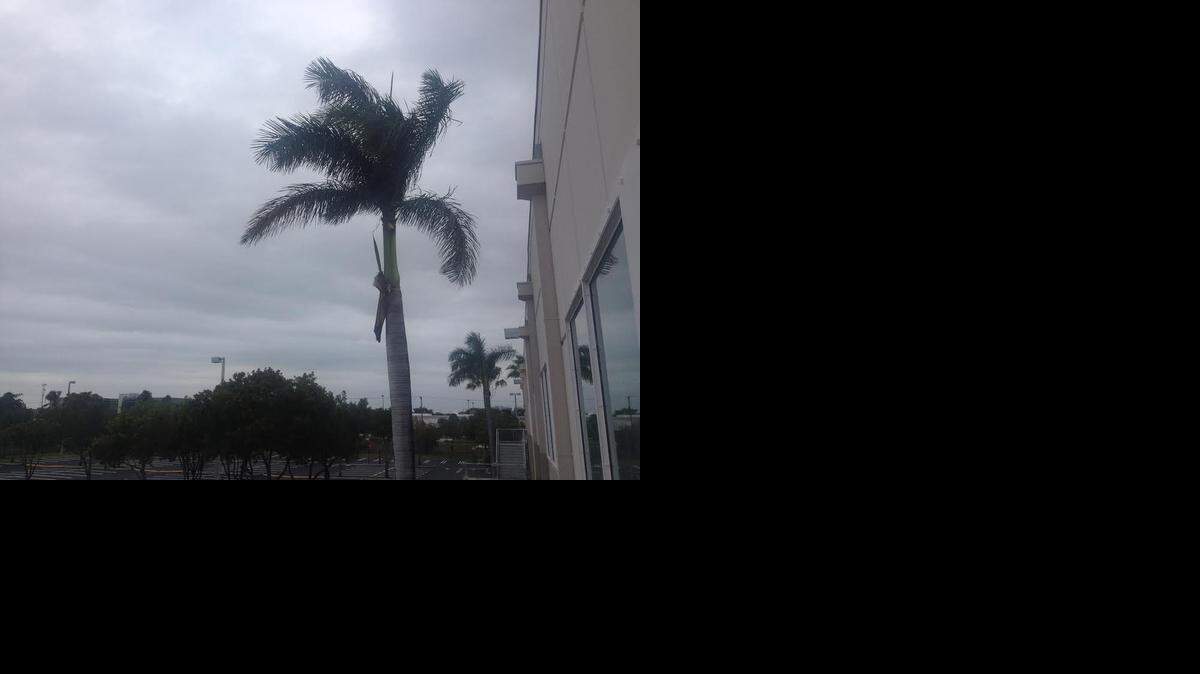 
The palms were swaying and the skies were gray on Sunday morning in West Miami-Dade.
