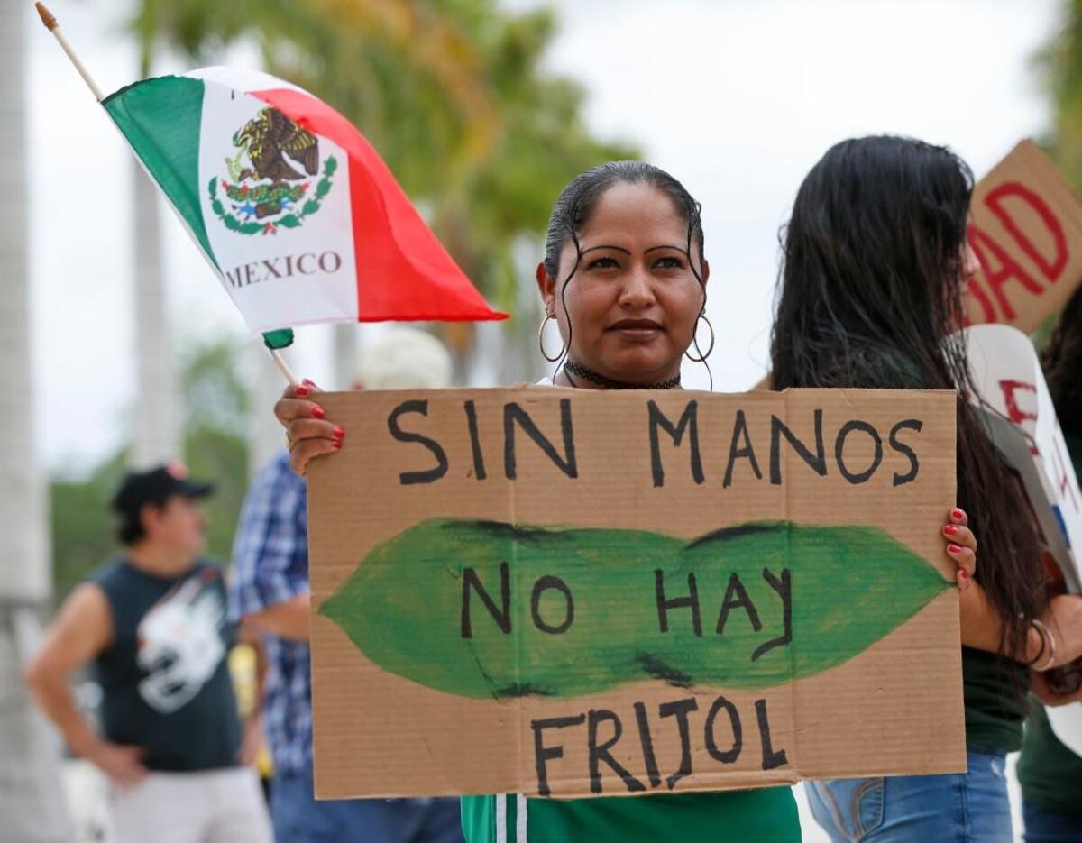 Mariana Azpeitia, una trabajadora agrícola de México, sostiene la bandera de México y un letrero en español que dice “Sin manos no hay frijoles” mientras se manifiesta frente al edificio del ayuntamiento de Homestead, Florida, el lunes 1 de mayo de 2017 .