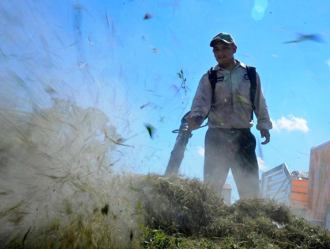 Aurelio Chum of the Orchid Man Landscape company, blows grass cuttings with a leaf blower on Ponce de Leon Avenue in Coral Gables on Oct. 11, 2010.