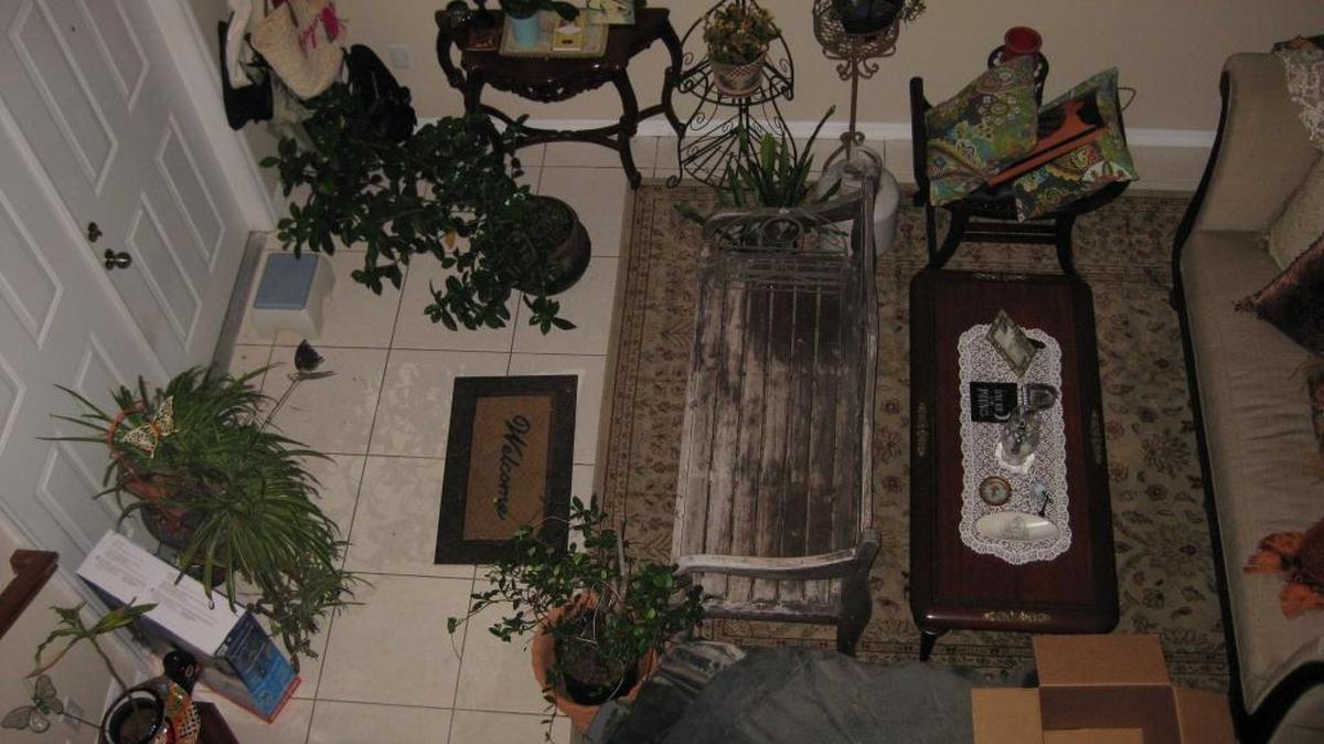 The plants brought in from outside create a “Secret Garden’’ in Fabiola Santiago’s home.