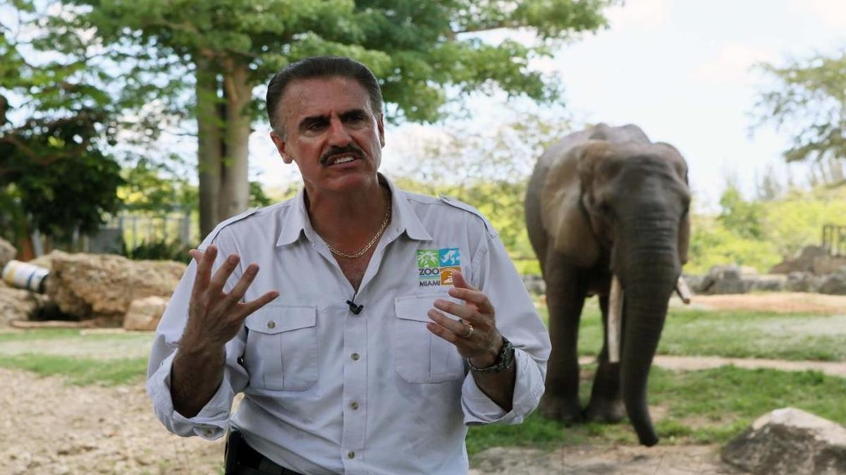 Ron Magill, Zoo Miami’s communications director, speaks at a news conference presenting the zoo’s new elephants.