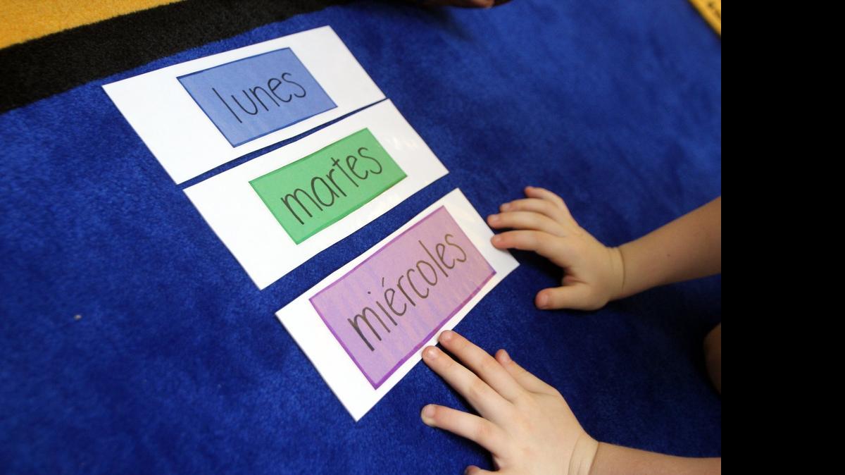 
Frances Amat, age 5, helps put the days of the week in Spanish in order during a morning class on Saturday, Sept. 29, 2012.

