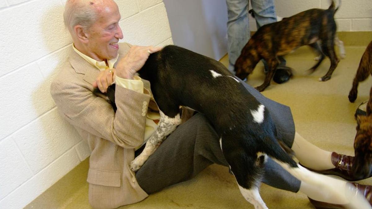 In June 2009, Ralph Lutrin, past-president of the Audrey Love Foundation, played with a puppy that was ready for adoption during the ground breaking of the Audrey Love Intake Quarantine Pavilion at the Humane Society of Greater Miami-Adopt-A-Pet in North Miami.