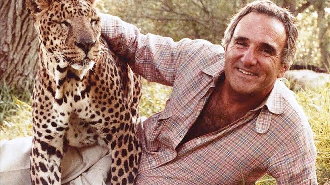 Burton Goldberg, founder of the former Mutiny Hotel in Coconut Grove and later an author and proponent of alternative medicine, frolics with a leopard on a farm owned by movie actress Tippi Hedren.