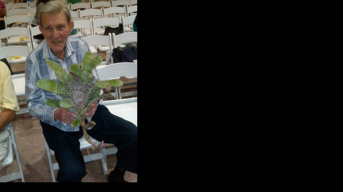 
BROMELIAD EXPERT: Nathan “Nat” DeLeon had two main loves in his life, his family says. Family and plants. Here, he holds one of his prized bromeliads. DeLeon was the main horticulturist at the former Parrot Jungle (now Pinecrest Gardens) for 35 years, co-founded the Bromeliad Society of South Florida and founded the family business, DeLeon’s Bromeliads, with his sons Robert and Donald.
