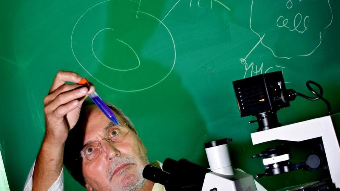 
Dr. Eckhard Podack, a distinguished professor at Sylvester Cancer Comprehensive Center, worked on lung cancer vaccines and chaired the Department of Microbiology and Immunology at the University of Miami Miller School of Medicine.
