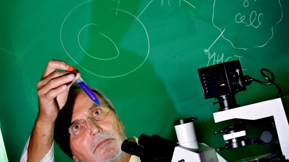 
Dr. Eckhard Podack, a distinguished professor at Sylvester Cancer Comprehensive Center, worked on lung cancer vaccines and chaired the Department of Microbiology and Immunology at the University of Miami Miller School of Medicine.
