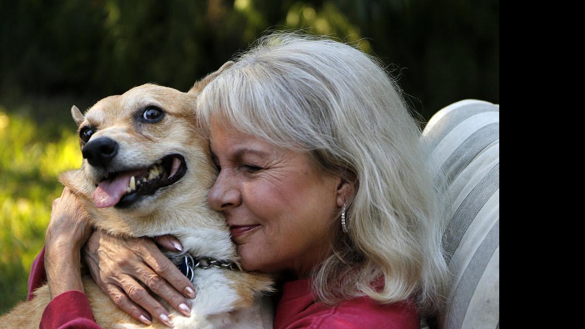 
ANCHOR WOMAN, DOG MOM: Kelly Mitchell, a former news anchor for WSVN-7 and WPLG-Local 10, told her audience about the cancer treatment routine for her pet Corgi, Oscar Dog Wade, in a 2014 Miami Herald/WLRN story. The pair shared a hug in Mitchell’s Miami Shores backyard on Tuesday, November 11, 2014.
