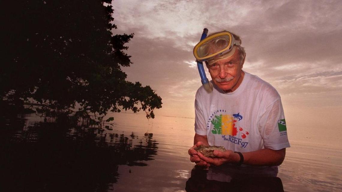 University of Miami professor of Marine geology Robert Ginsburg waded in the waters of Biscayne Bay in Matheson Hammock as founding father of the worldwide Year of the Reef ’97 project.