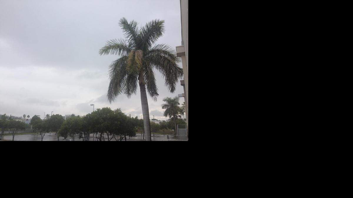 
South Florida saw dark skies and heavy rain on Sunday. More showers are expected this week.
