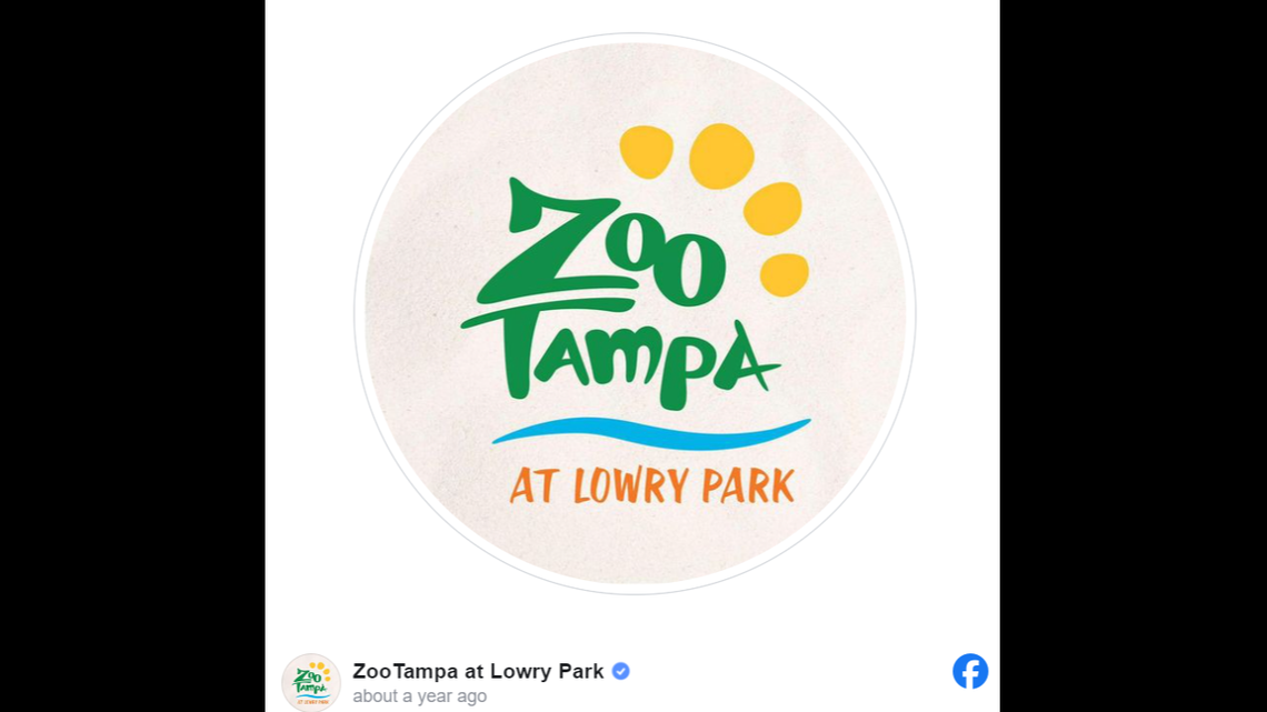 A Florida zoo welcomed a baby animal with a “distinctive coat.”