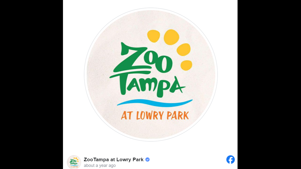 A Florida zoo welcomed a baby animal with a “distinctive coat.”