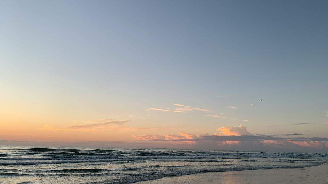 The man was bitten on Independence Day, Florida officials said.