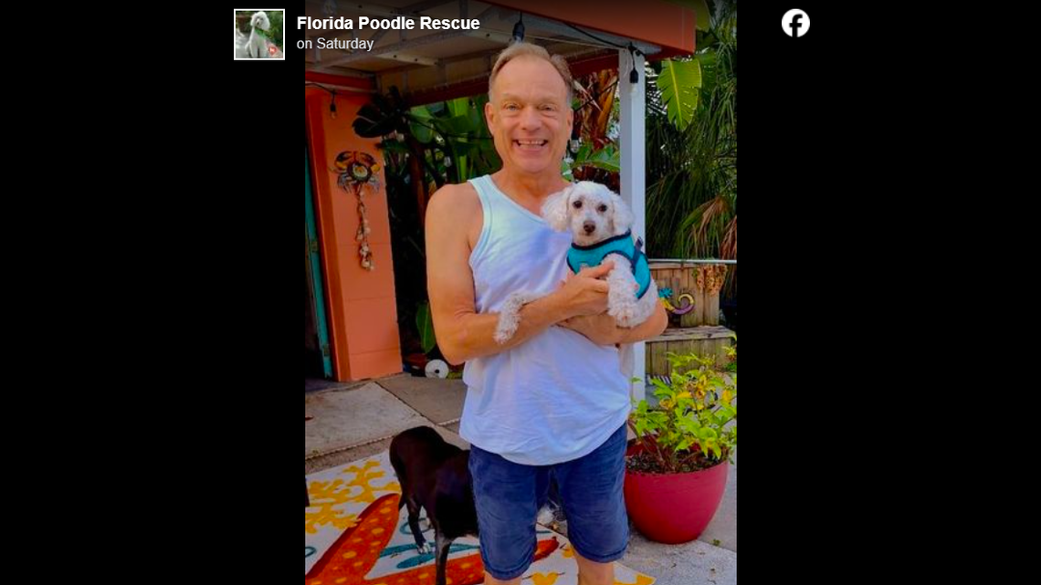 Peaches, an older dog who lost his previous owner, now has a new home.