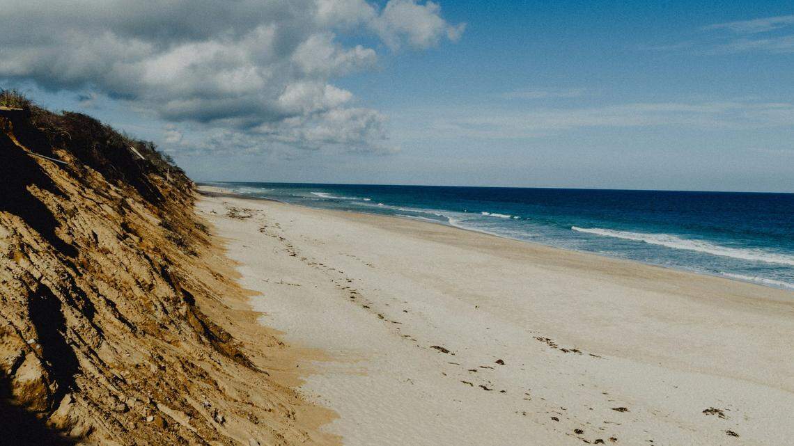 An exceptionally rare, critically endangered sea creature was spotted swimming off Cape Cod Bay with a baby in the first sighting of the season. 