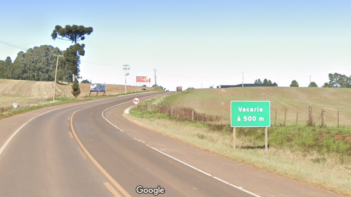 Researchers discovered the first-known hybrid between a pampas fox and domestic dog in Brazil, according to a new study.