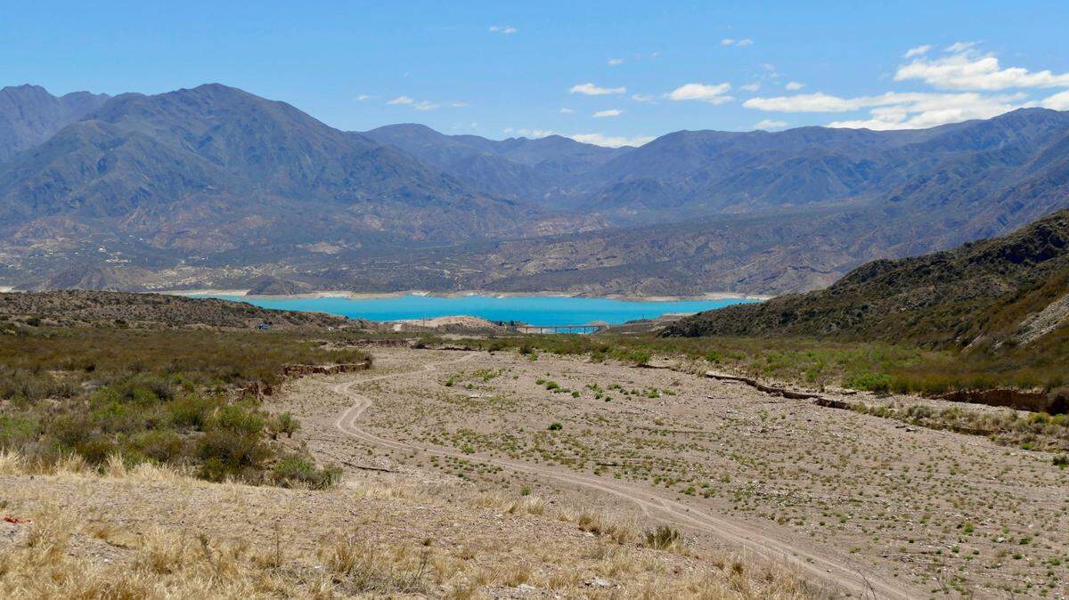 Researchers discovered a new species of rodent with large orange teeth in Argentina.