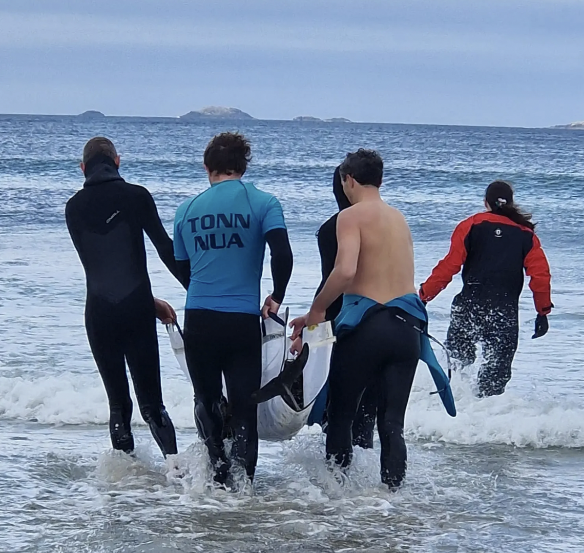 The stranded dolphin was saved thanks to “an incredible community response,” the group said.