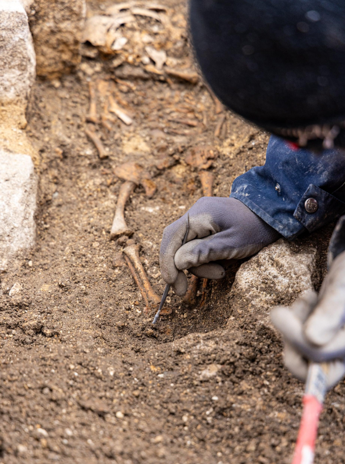 The skeletal remains of a child