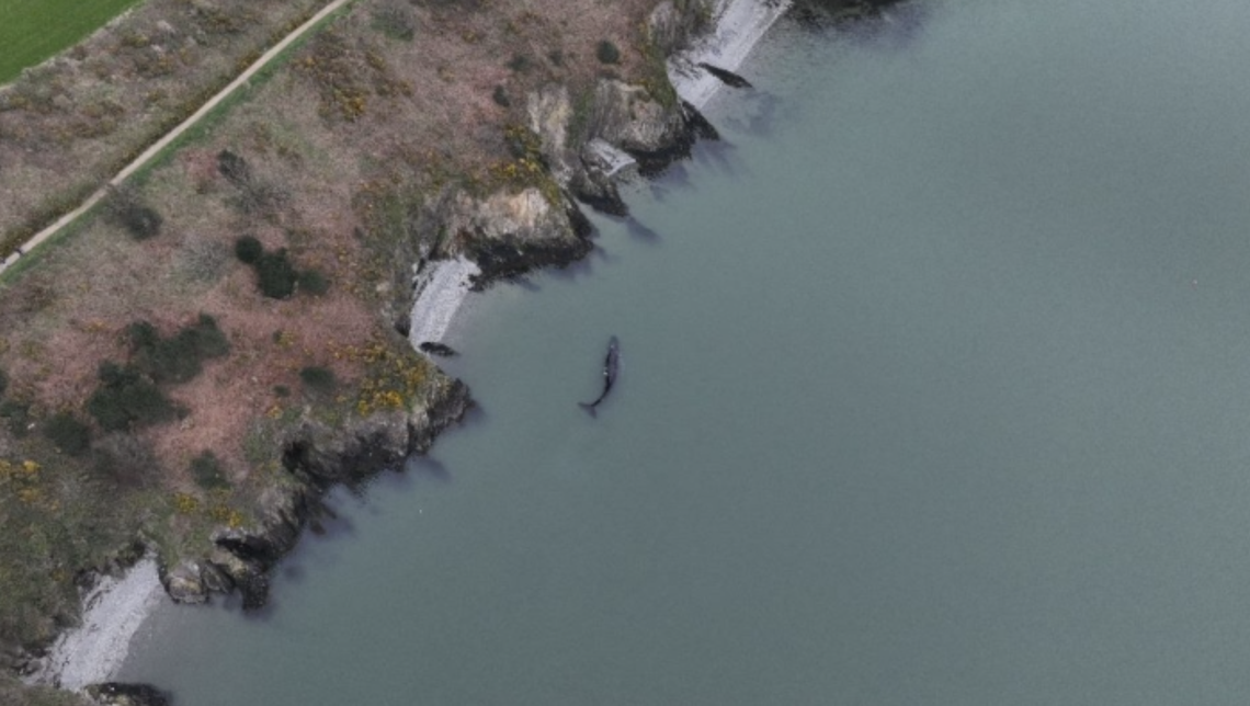 Sighting in Arthurstown, Ireland, on March 25