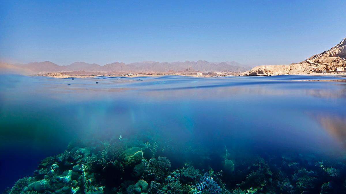 Researchers discovered a large Roman shipwreck off the coast of Egypt, according to a new study. (AP Photo/Thomas Hartwell)