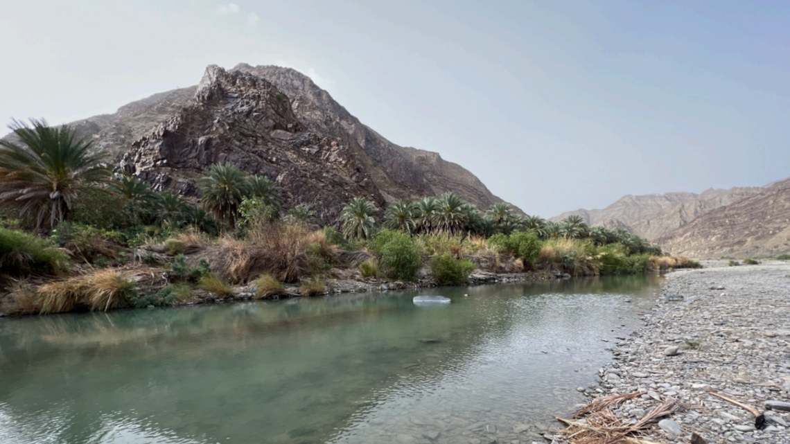 A small, “silvery” fish discovered in an Iranian river is a new species, researchers said.