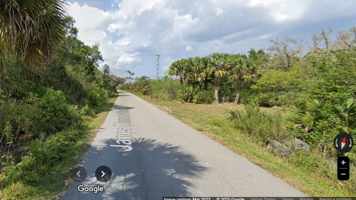 Two endangered Florida predators hit and killed by vehicles one day apart