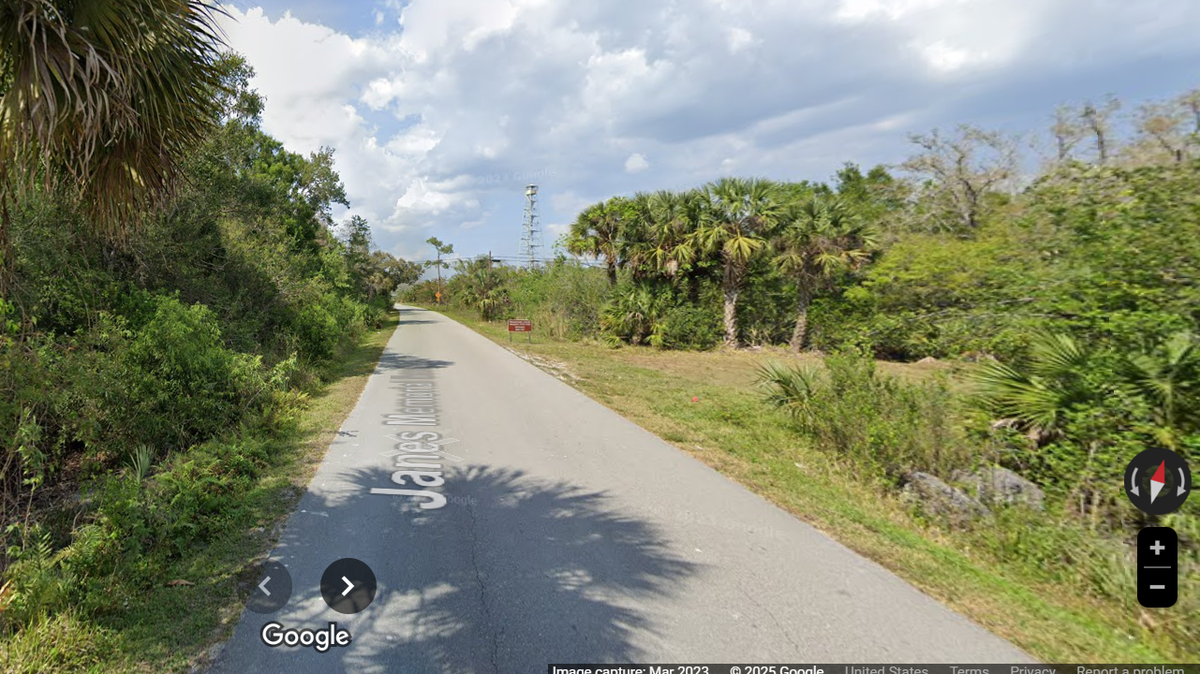 An 11-year-old Florida panther was found dead just outside Fakahatchee Strand Preserve State Park from a vehicle strike.