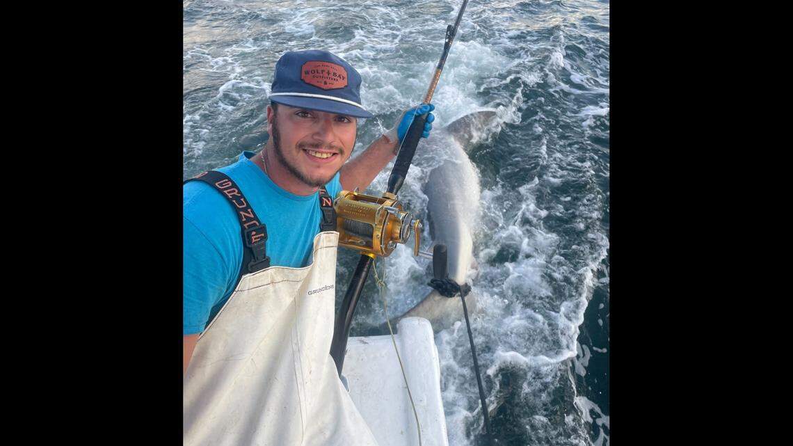 Tommy “Tuna” Bowyer won the Alabama Deep Sea Rodeo’s bull shark category with a 494.5-pound catch, officials said. It’s expected to be certified as a new state record.
