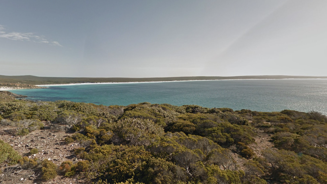 A rare white right whale calf was recently spotted off the coast of Australia, according to local news reports.