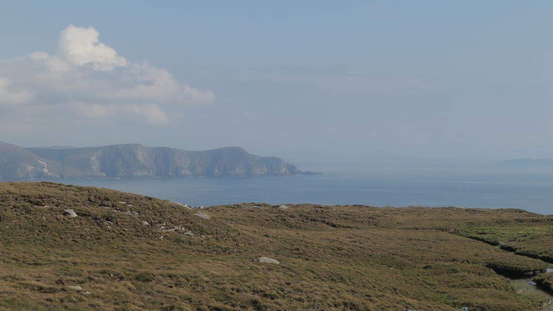 A “rare” True’s beaked whale recently washed ashore in Ireland in what experts say is part of a cluster of strandings.