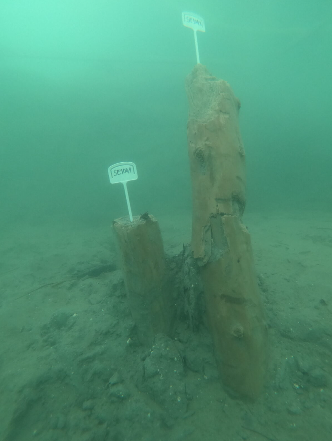 Wooden artifacts found by divers