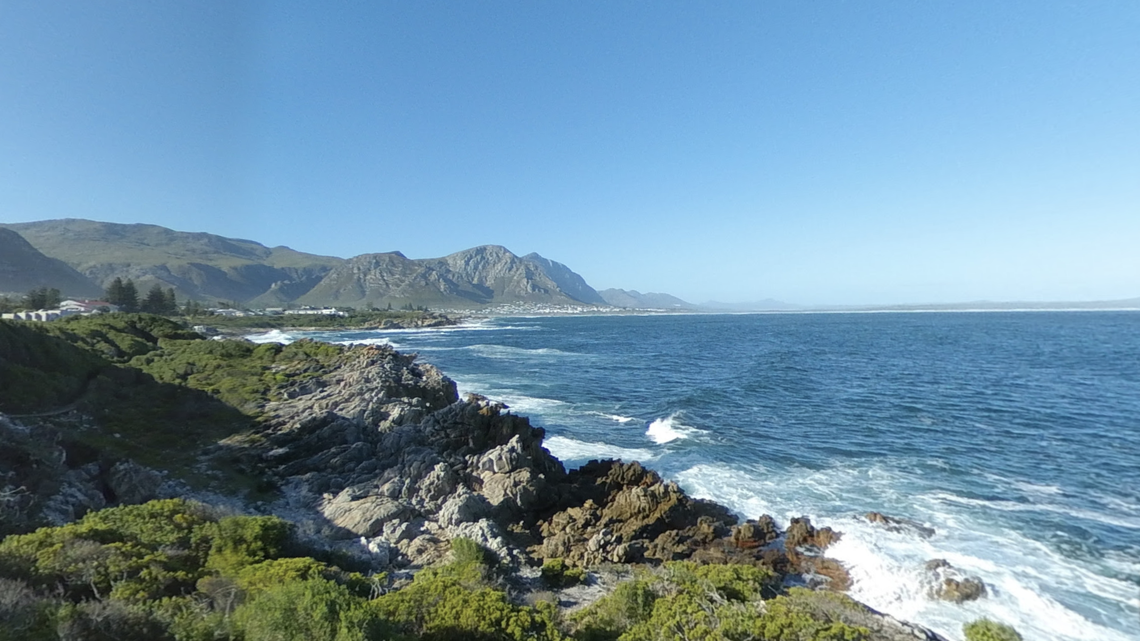 An entangled right whale, measuring about 30 feet, was recently rescued off the coast of South Africa, according to a nonprofit.