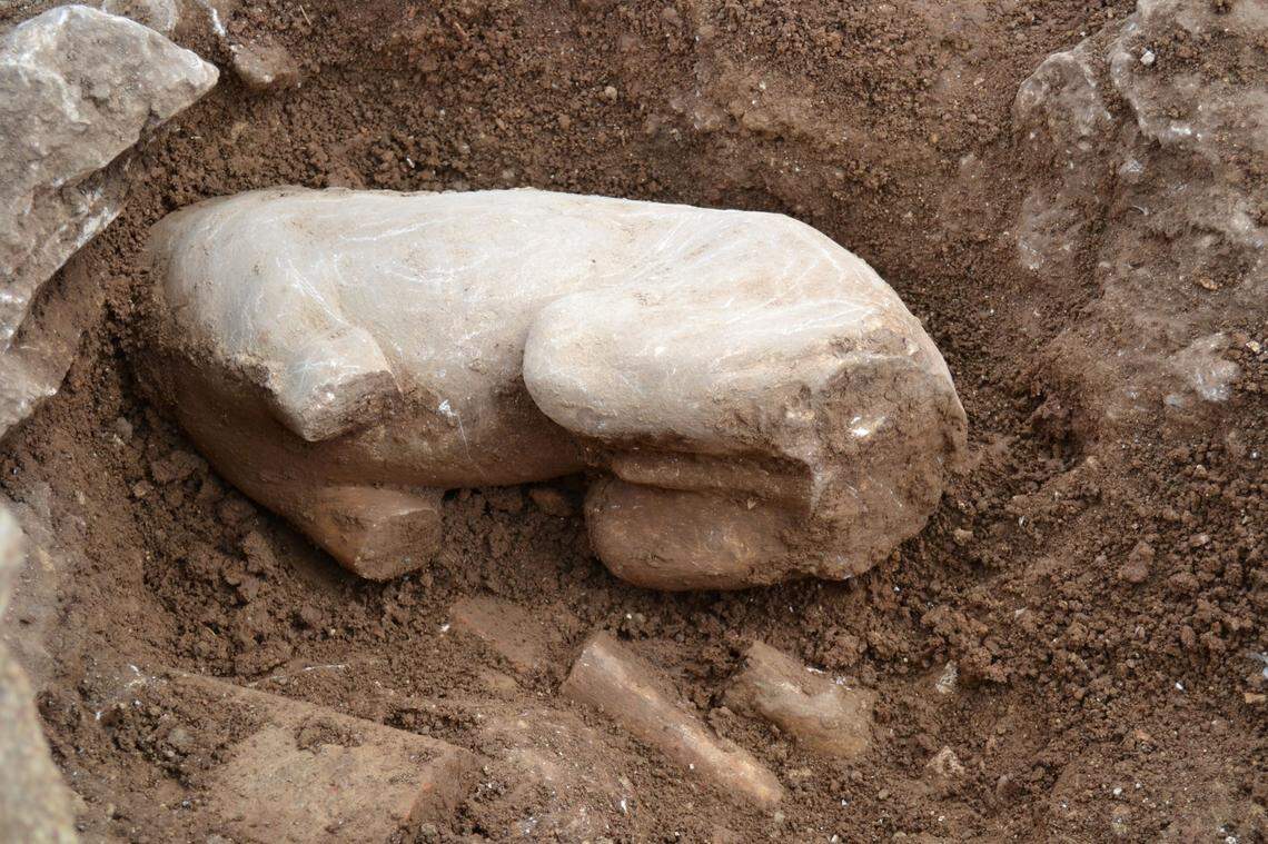 Part of a marble lion statue