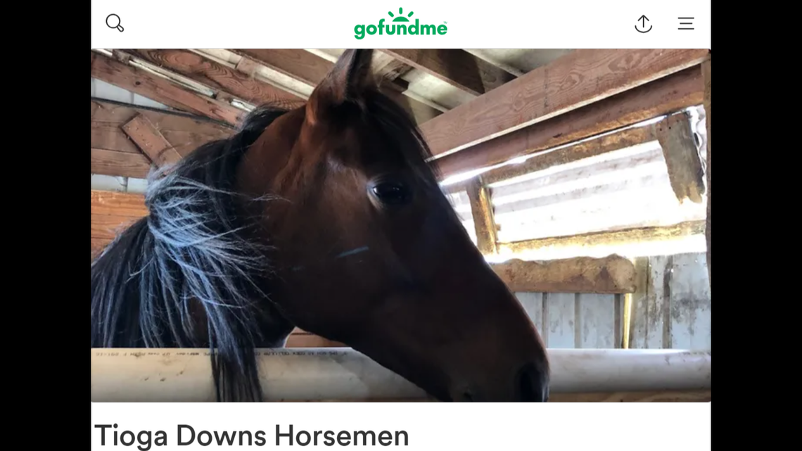 Over two dozen racehorses kept at a barn in Nichols, New York, were killed in an intentional fire, New York State Police said. The community is raising money for those who lost their horses.
