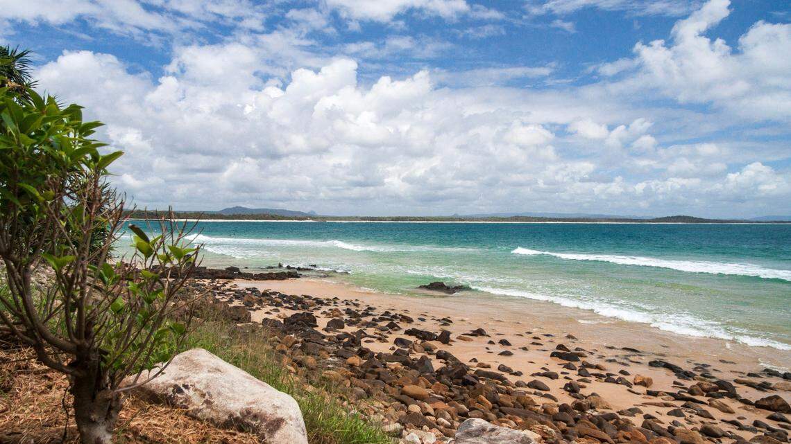 Boaters off the coast of Australia recently spotted a mako shark feasting on the carcass of a swordfish, photos show.