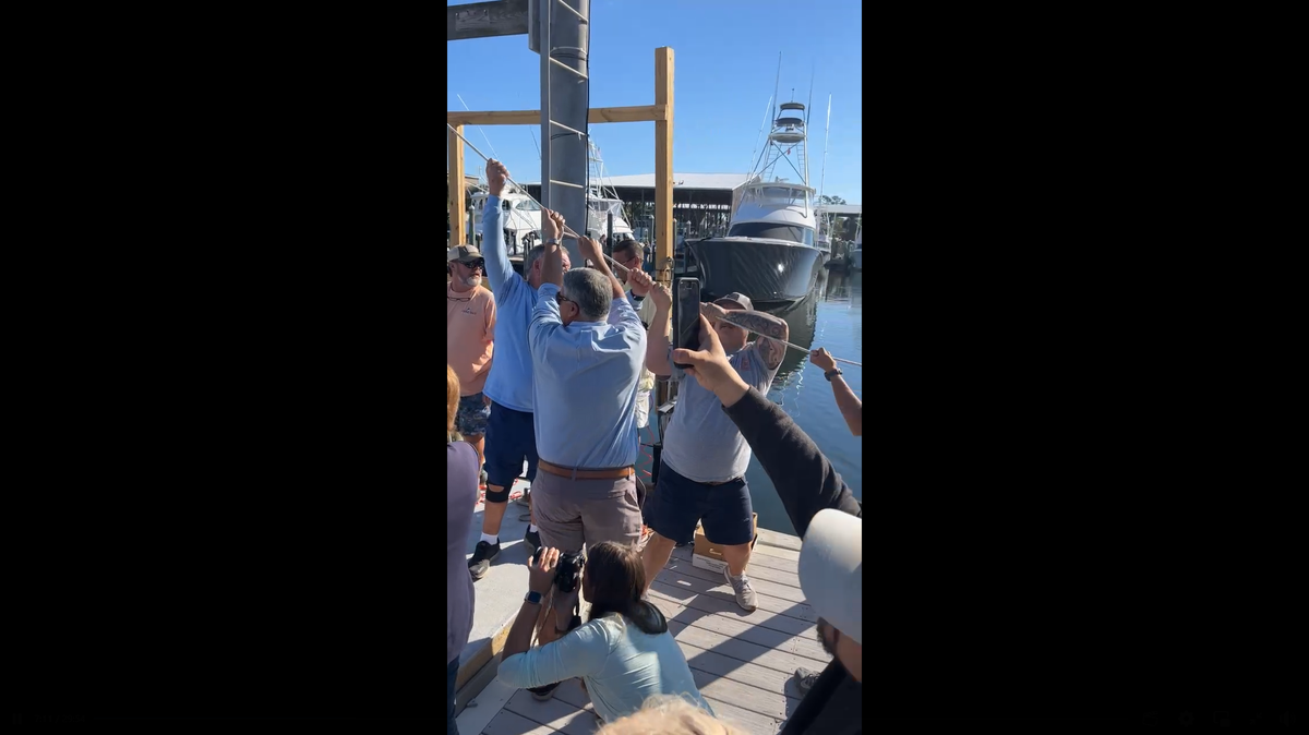 Fishermen in Alabama have possibly broken​ a state record with a massive blue marlin catch.