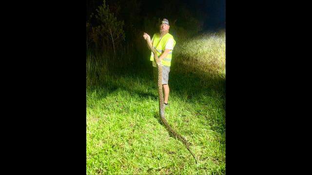 Ronald Kiger won the grand prize of $10,000 with 20 snakes after finishing in second place the year before, the FWC said.